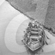 Mono Negative