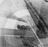 Mono Negative