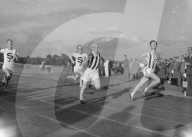 Glass plate mono negative