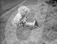 Glass plate mono negative