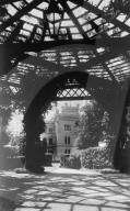 Mono Negative