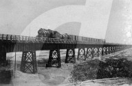 Mono Negative