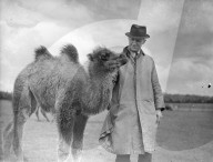 Glass plate mono negative