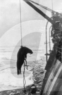 Mono Negative