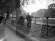 Glass plate mono negative