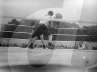 Glass plate mono negative