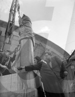Glass plate mono negative