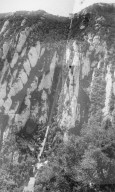 Mono Negative