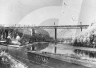 Glass plate mono negative