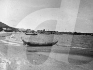 Glass plate mono negative