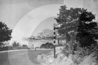 Mono Negative