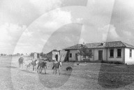 Mono Negative