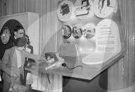 Mono Negative