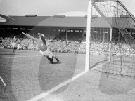 Mono Negative