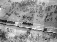 Mono Negative