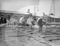 Mono Negative