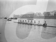 Mono Negative