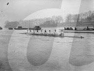 Mono Negative