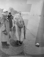 Mono Negative