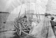 Mono Negative