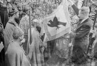 Mono Negative