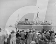 Mono Negative