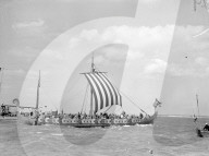 Mono Negative