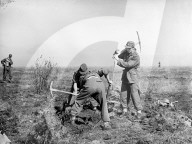 Mono Negative