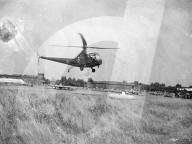 Mono Negative