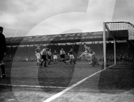 Mono Negative