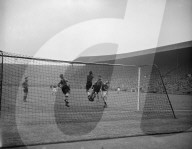 Mono Negative