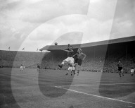 Mono Negative