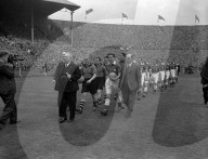 Mono Negative