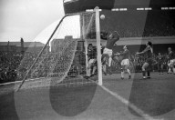 Mono Negative