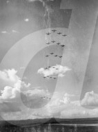 Mono Negative