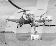 Mono Negative