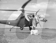 Mono Negative