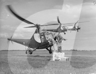 Mono Negative