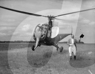 Mono Negative