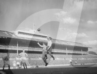 Glass plate mono negative