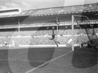 Glass plate mono negative