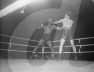 Glass plate mono negative