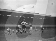 Glass plate mono negative