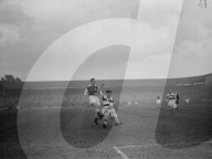 Glass plate mono negative