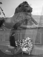 Glass plate mono negative