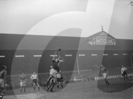 Glass plate mono negative