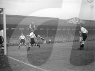 Glass plate mono negative