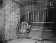 Glass plate mono negative