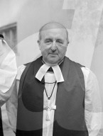 Glass plate mono negative