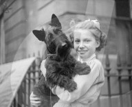 Glass plate mono negative